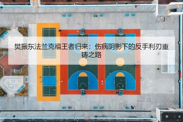 樊振东法兰克福王者归来：伤病阴影下的反手利刃重铸之路