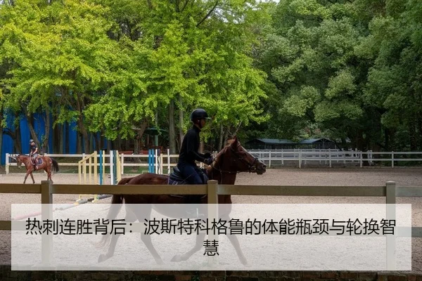 re-ci-lian-sheng-bei-hou-bo-si-te-ke-ge-lu-de-ti-neng-ping-jing-yu-lun-huan-zhi-hui-2-436.jpg